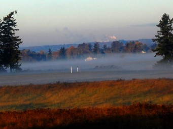 steam tower and morning ground fog