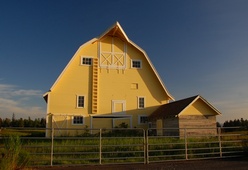 yellow barn